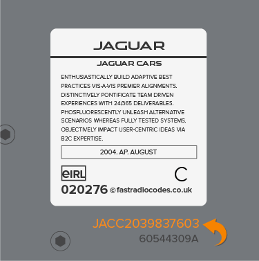 Jaguar Radio Code Serial Label | JA
